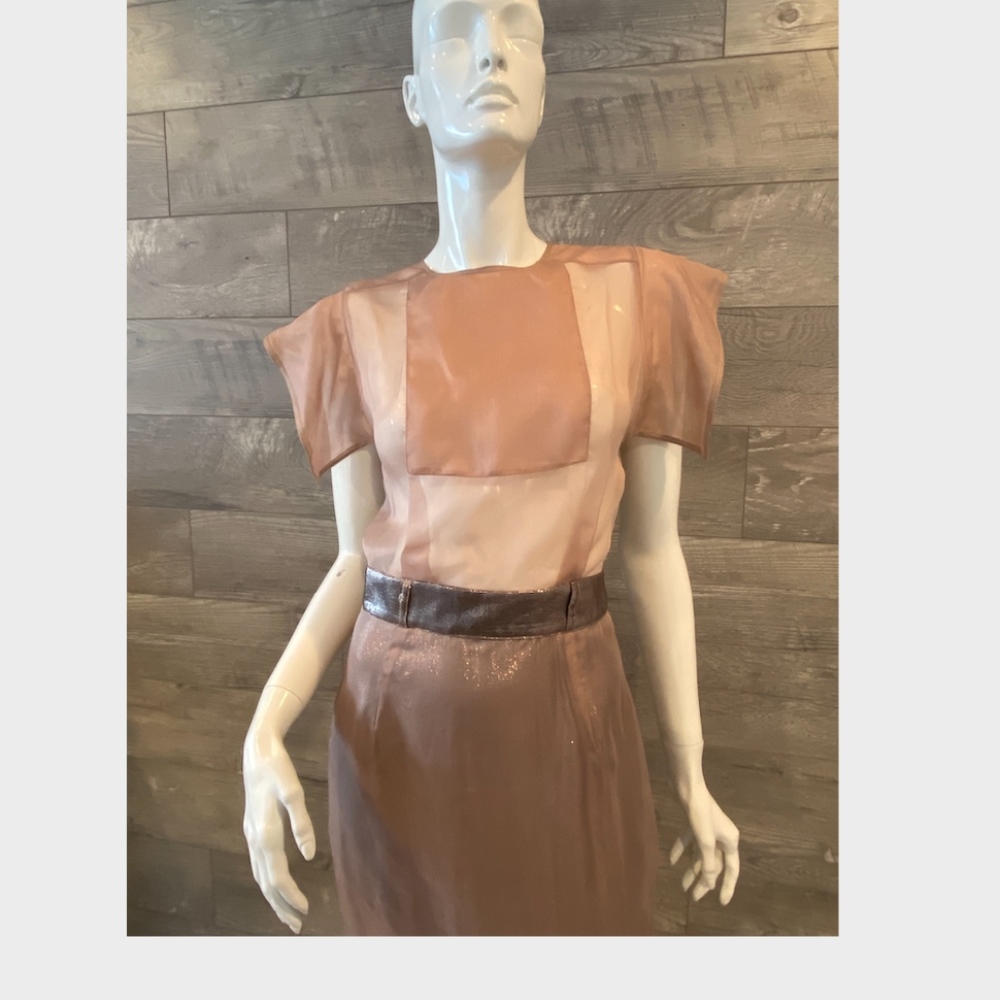 Richard Nicoll Rose Silk Dress Size Small Uk10 View 4